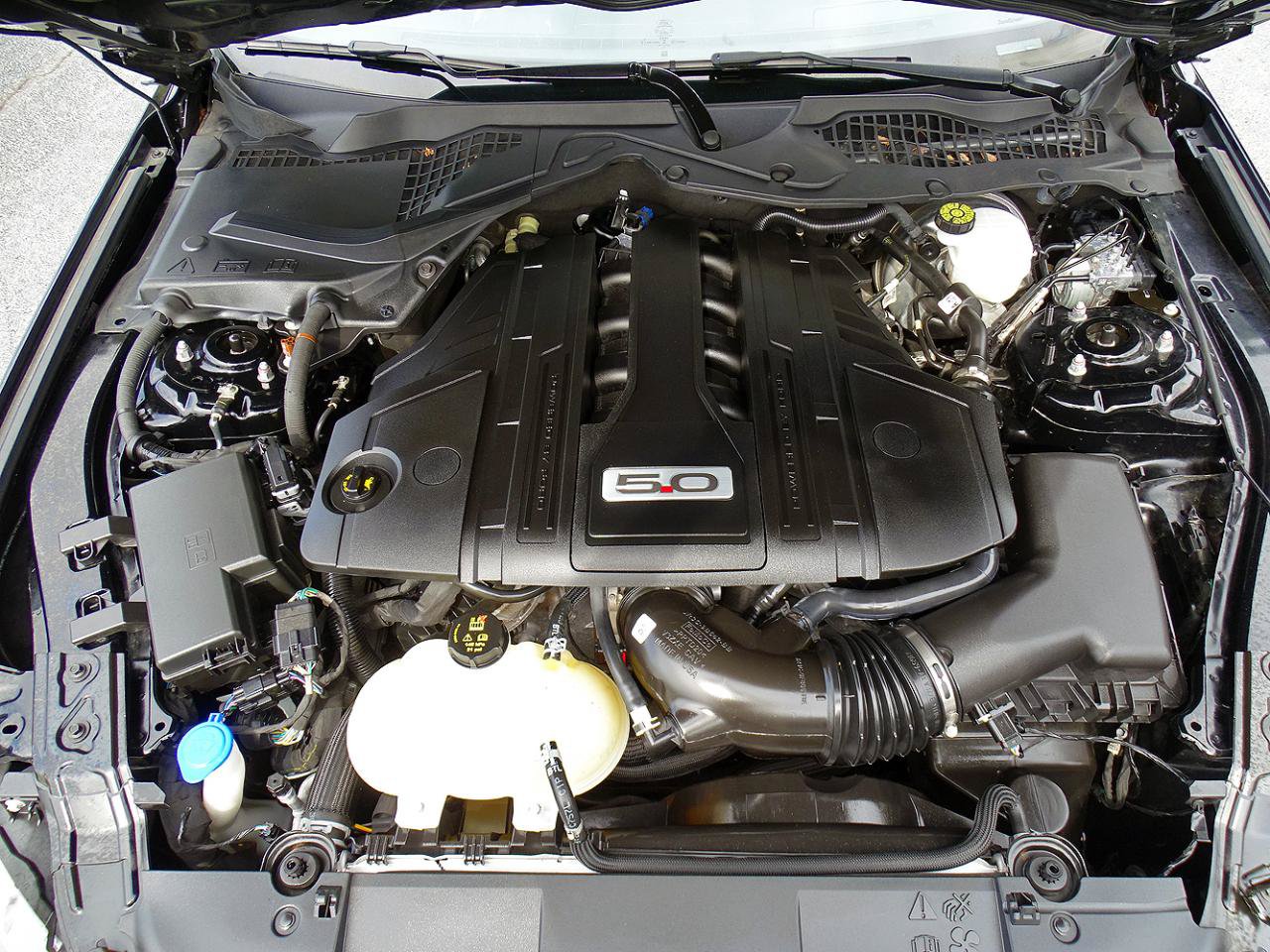 Used 2021 Ford Mustang GT Premium w/ Equipment Group 401A RWD image 16