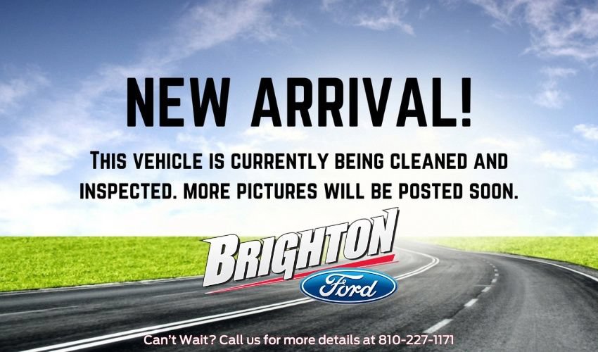 Used 2023 Ford Expedition Timberline AWD/4WD image 4