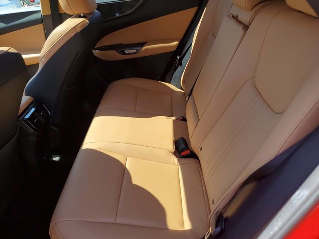 Used 2023 Lexus NX 250 FWD w/ Cold Area Package image 12