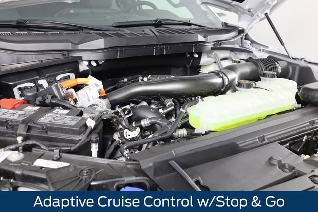 New 2025 Ford F150 XLT w/ Equipment Group 302A MID image 13