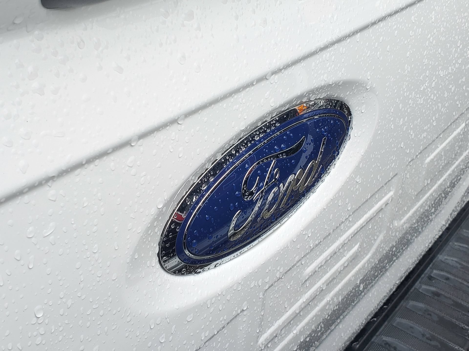Used 2023 Ford F150 XL w/ STX Appearance Package RWD image 6