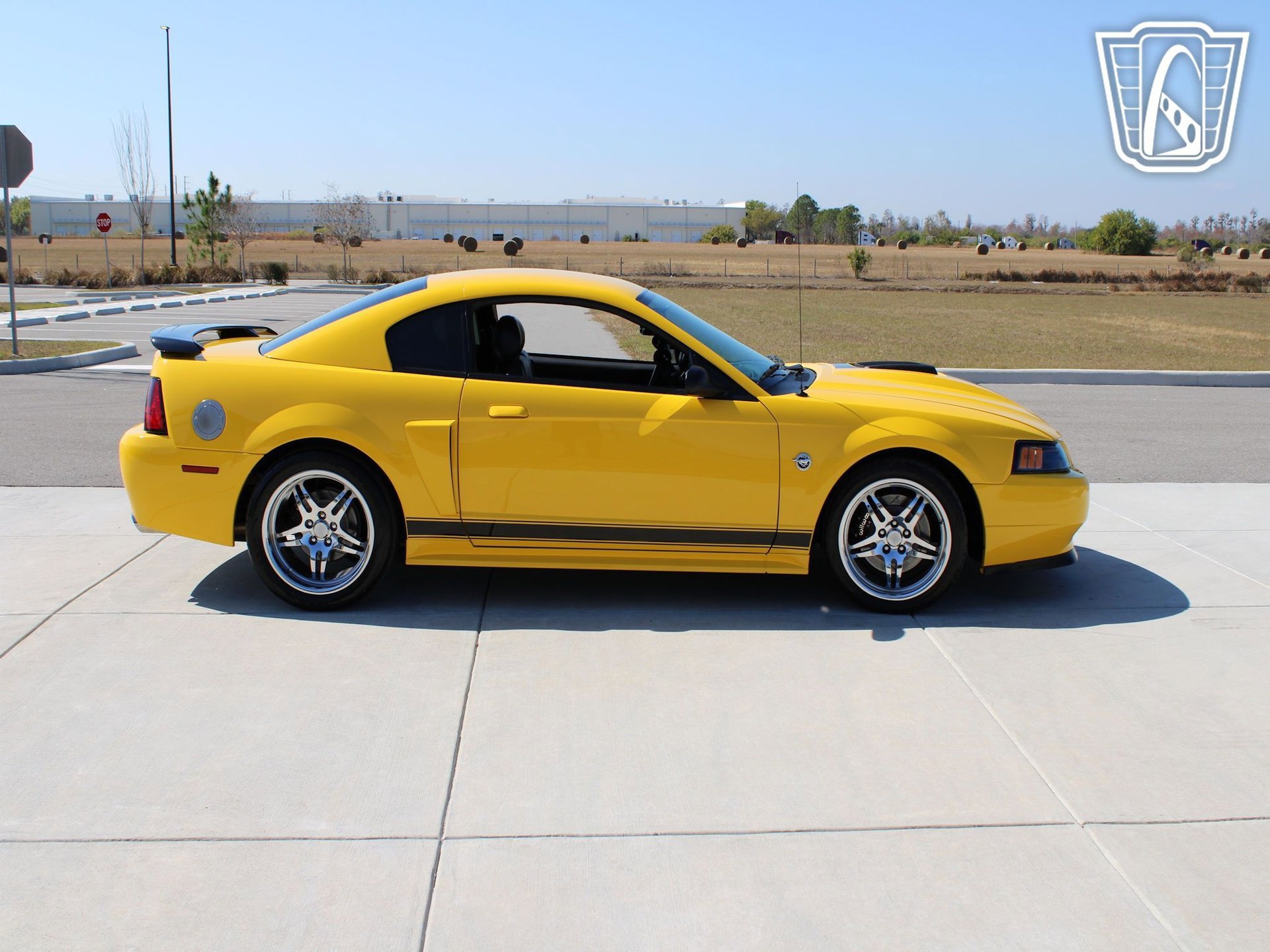 Used 2004 Ford Mustang Mach 1 image 7