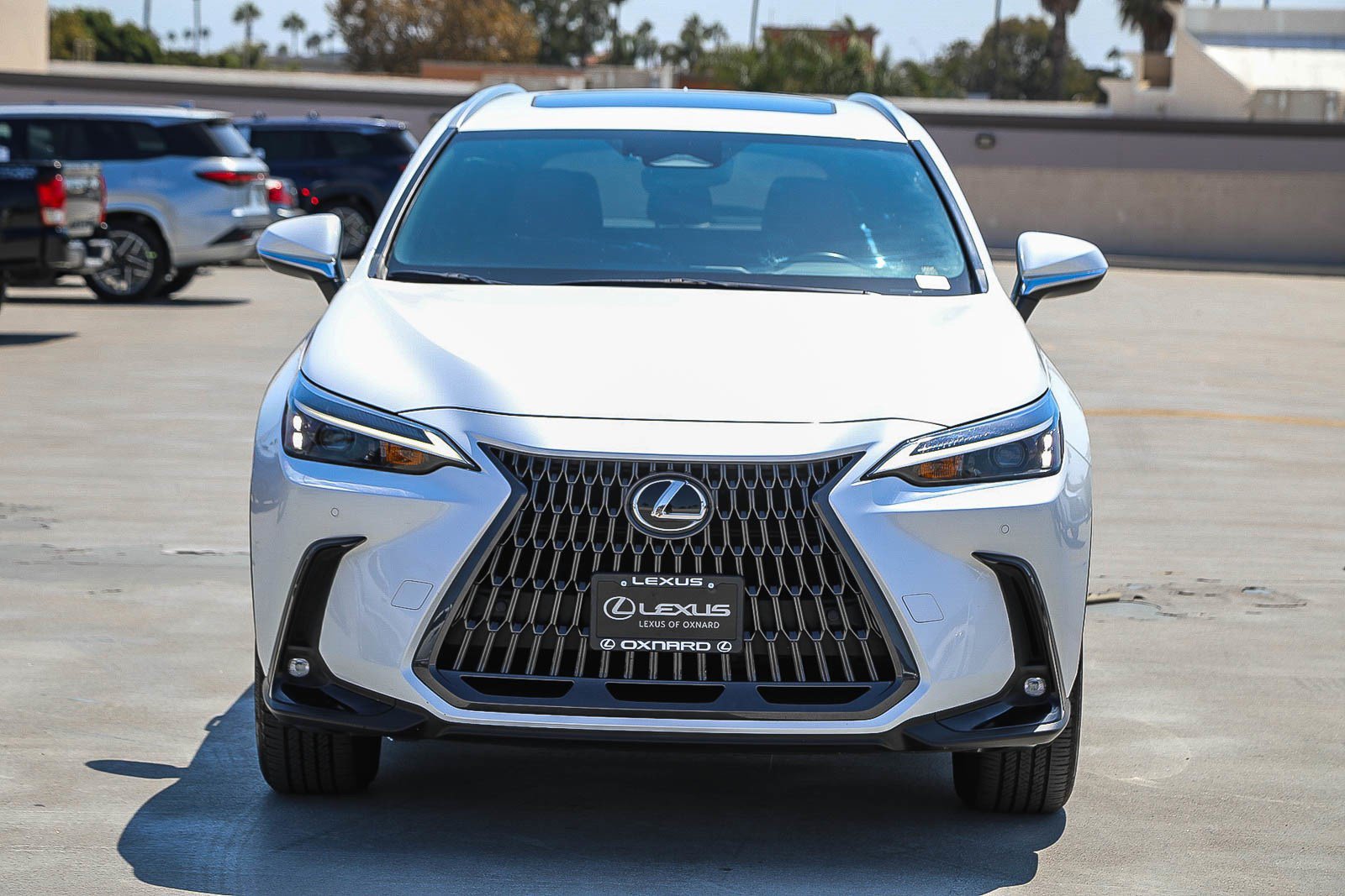 Certified 2022 Lexus NX 350h AWD w/ Package Accessory (P3) image 2