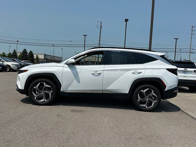 Used 2022 Hyundai Tucson Limited AWD/4WD image 3