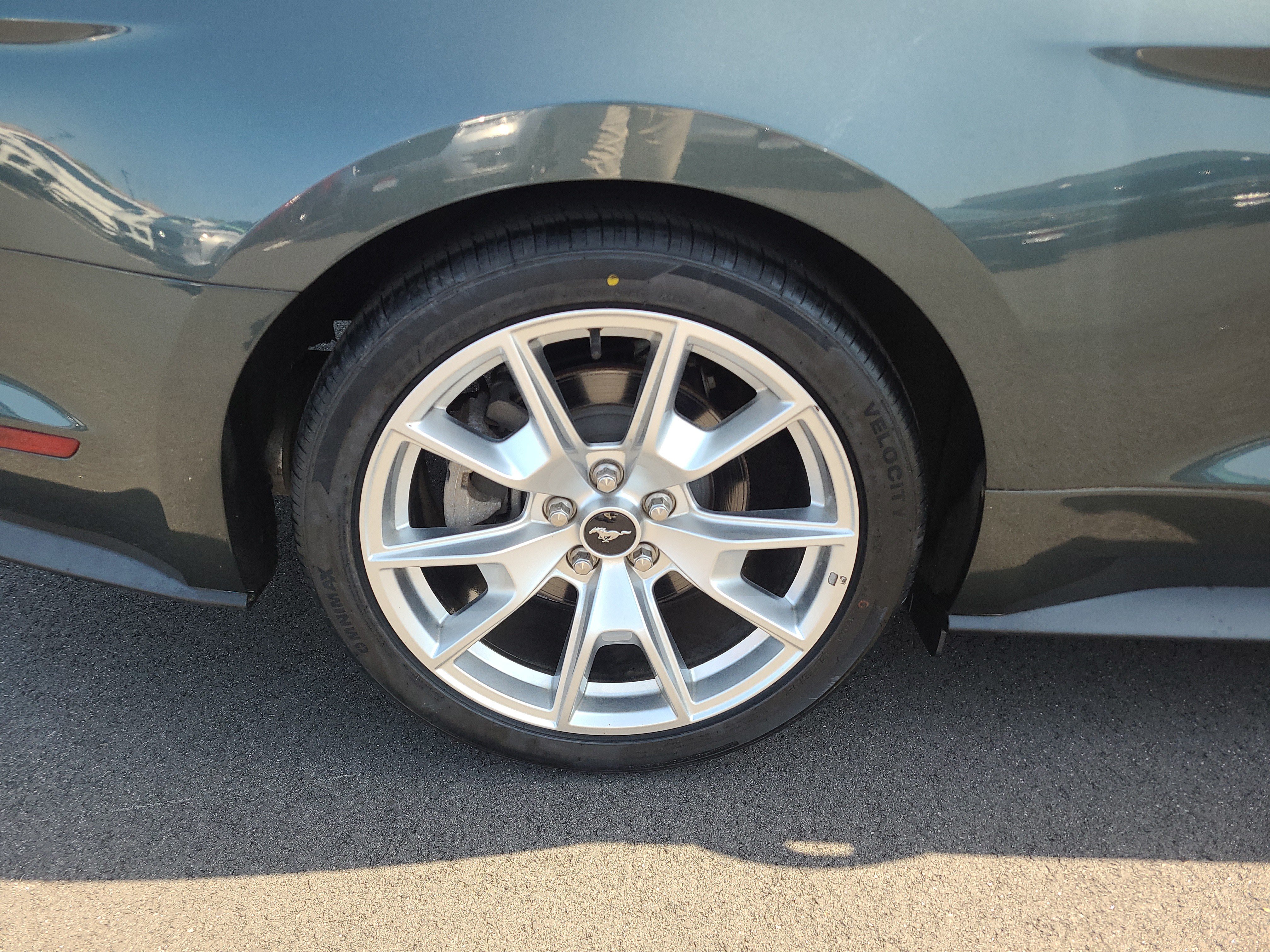 Used 2015 Ford Mustang Premium w/ 50 Years Appearance Package RWD image 11