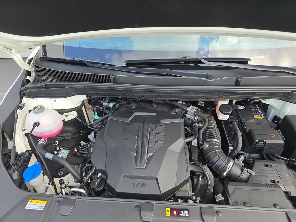 Used 2024 Kia Carnival SX FWD image 29