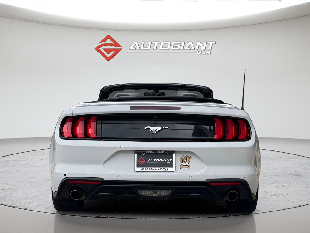 Used 2019 Ford Mustang Premium RWD image 9