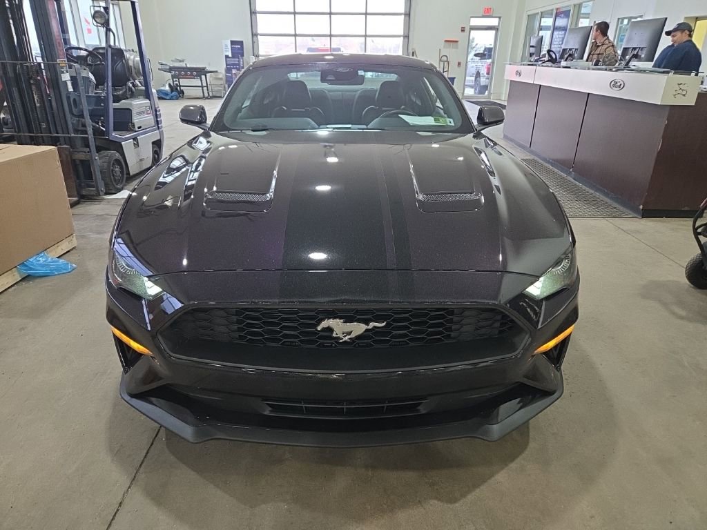 Used 2022 Ford Mustang Premium image 2