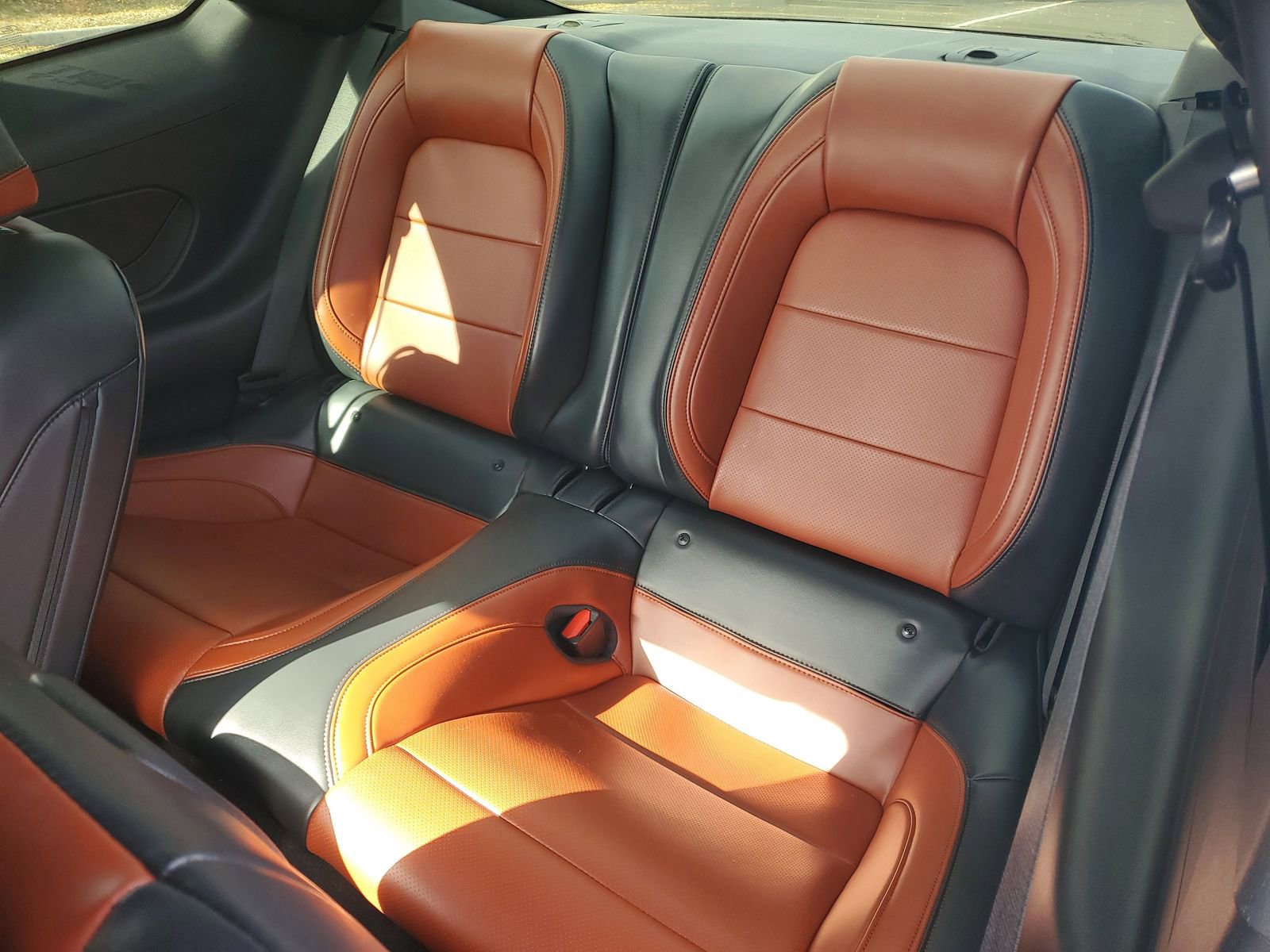 Used 2024 Ford Mustang Premium image 13