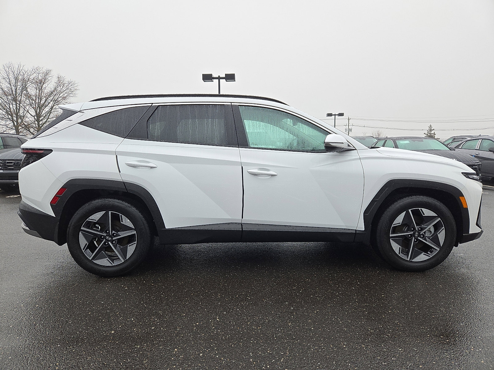 Used 2025 Hyundai Tucson SEL FWD image 12