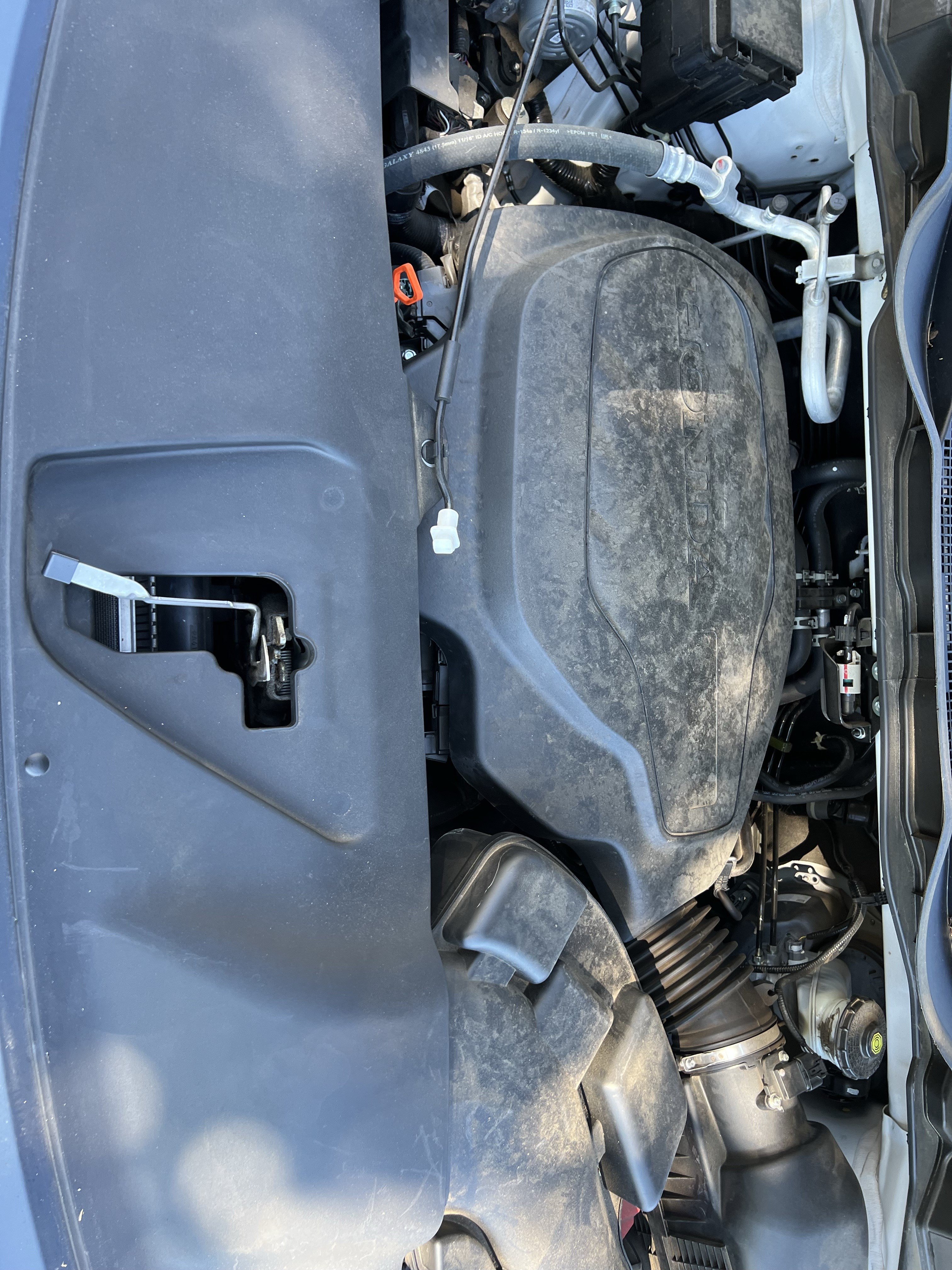 Used 2023 Honda Odyssey Sport image 36