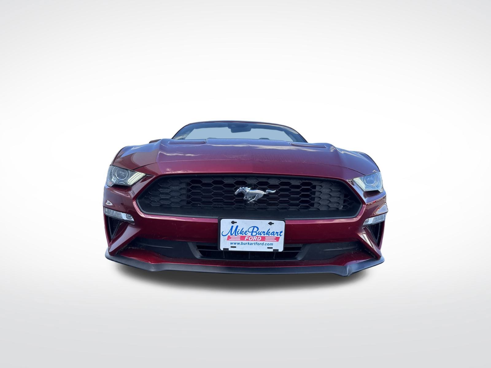 Used 2018 Ford Mustang Premium w/ Equipment Group 201A image 57