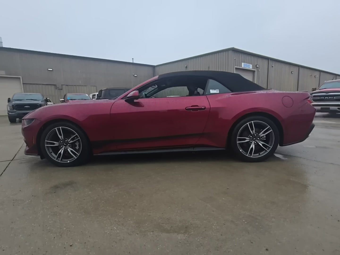 Used 2025 Ford Mustang Premium w/ Wheel & Stripe Package image 9