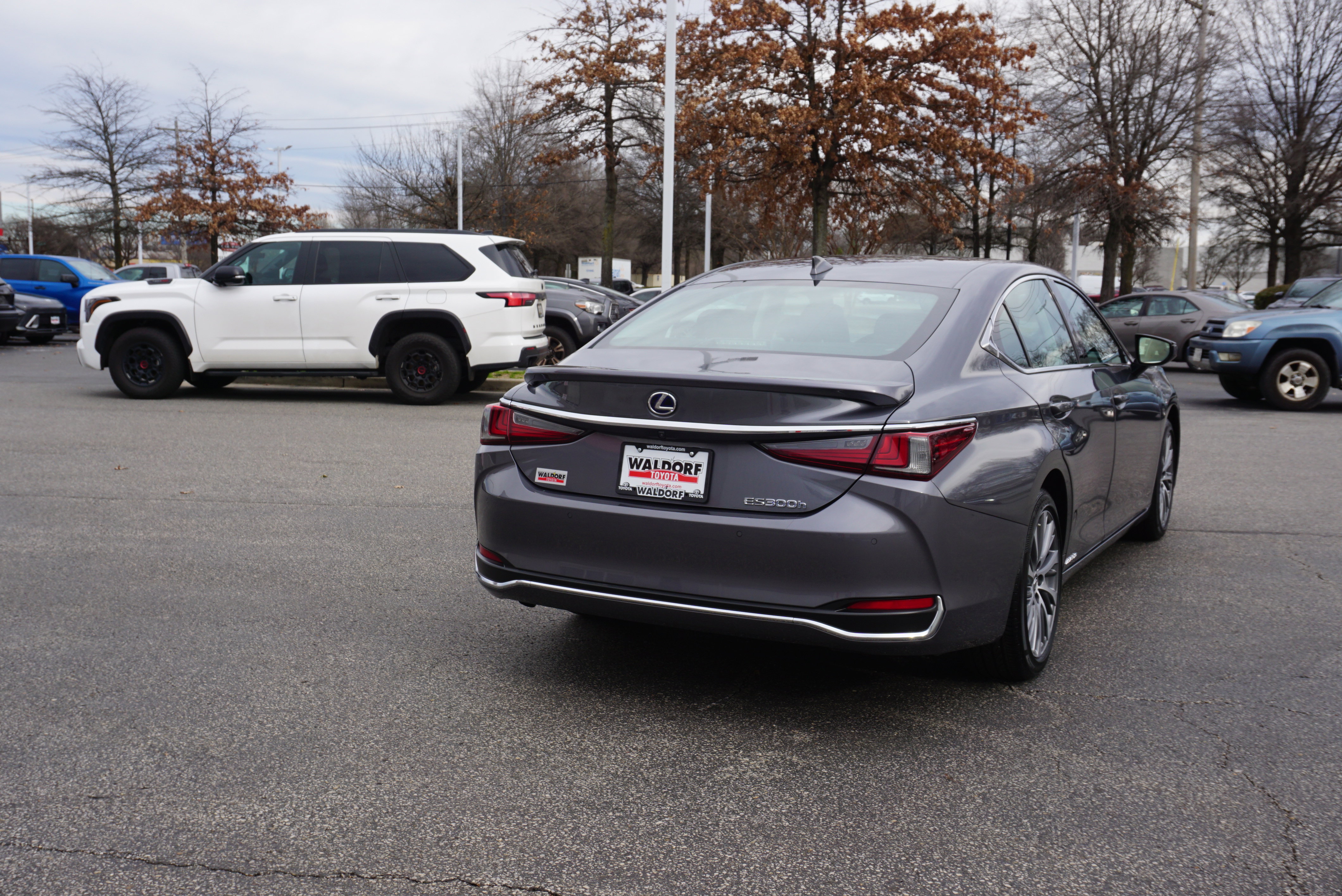 Used 2021 Lexus ES 300h w/ Premium Package image 4