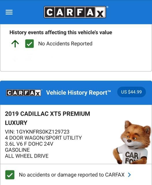 Used 2019 Cadillac XT5 Premium Luxury image 4