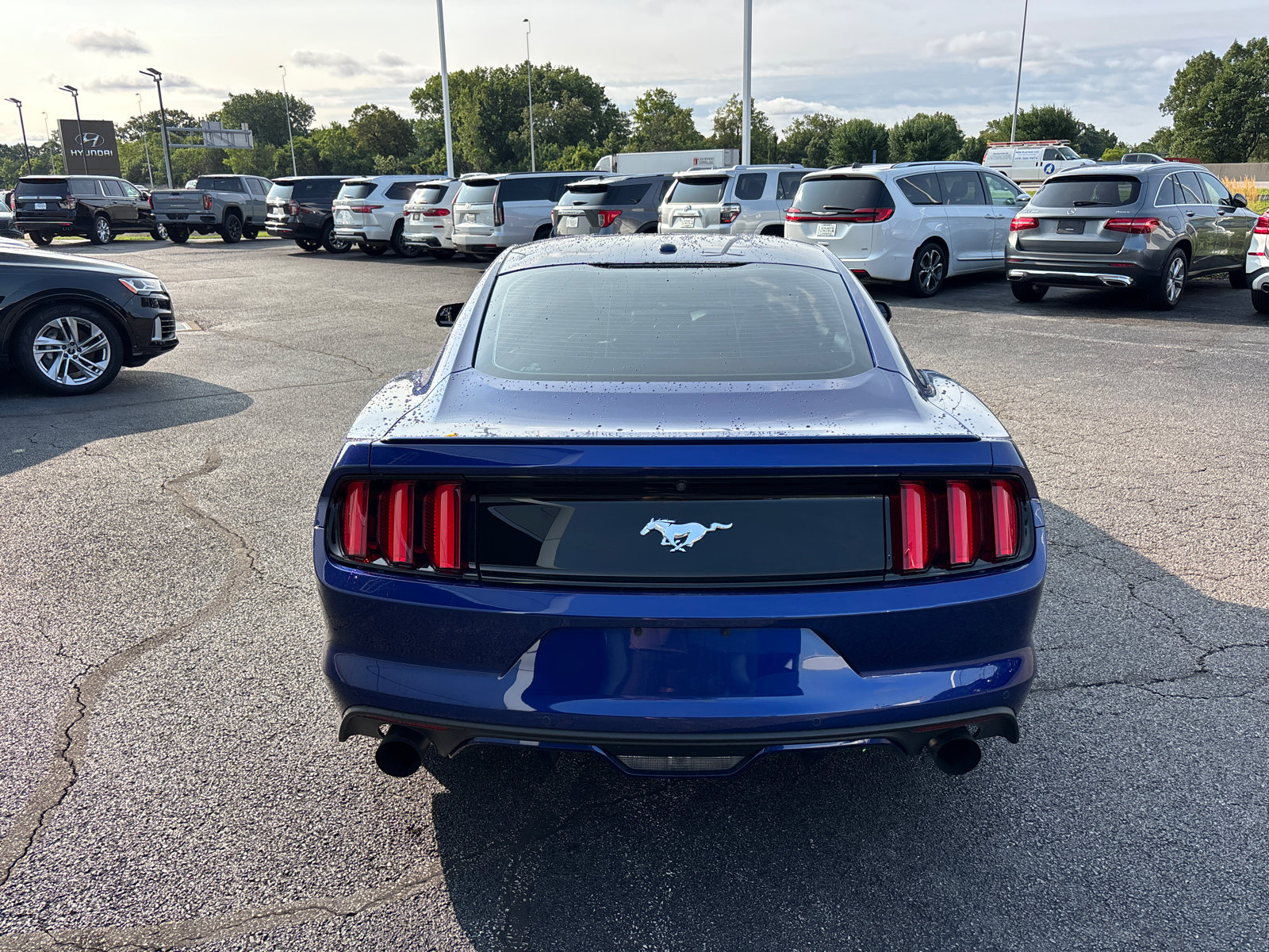 Used 2016 Ford Mustang Premium w/ Wheel & Stripe Package RWD image 6