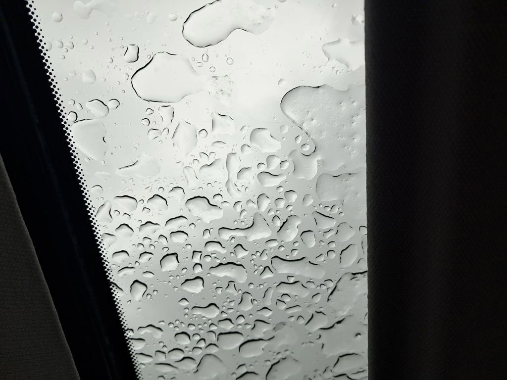 New 2026 Nissan Sentra SR w/ SR Premium Package image 60