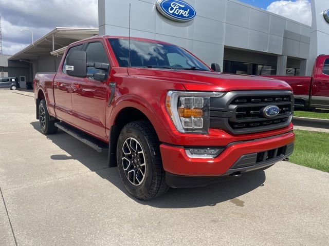 Used 2023 Ford F150 XLT w/ Equipment Group 302A High AWD/4WD image 1