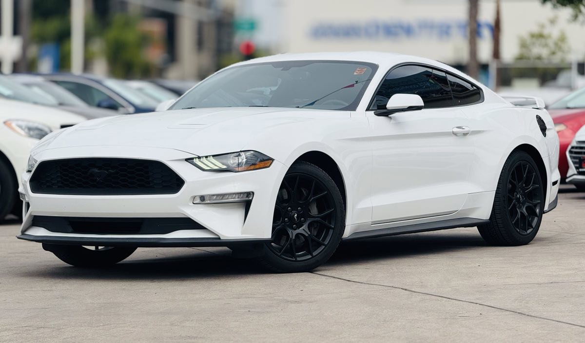 Used 2019 Ford Mustang Premium w/ Ecoboost Performance Package