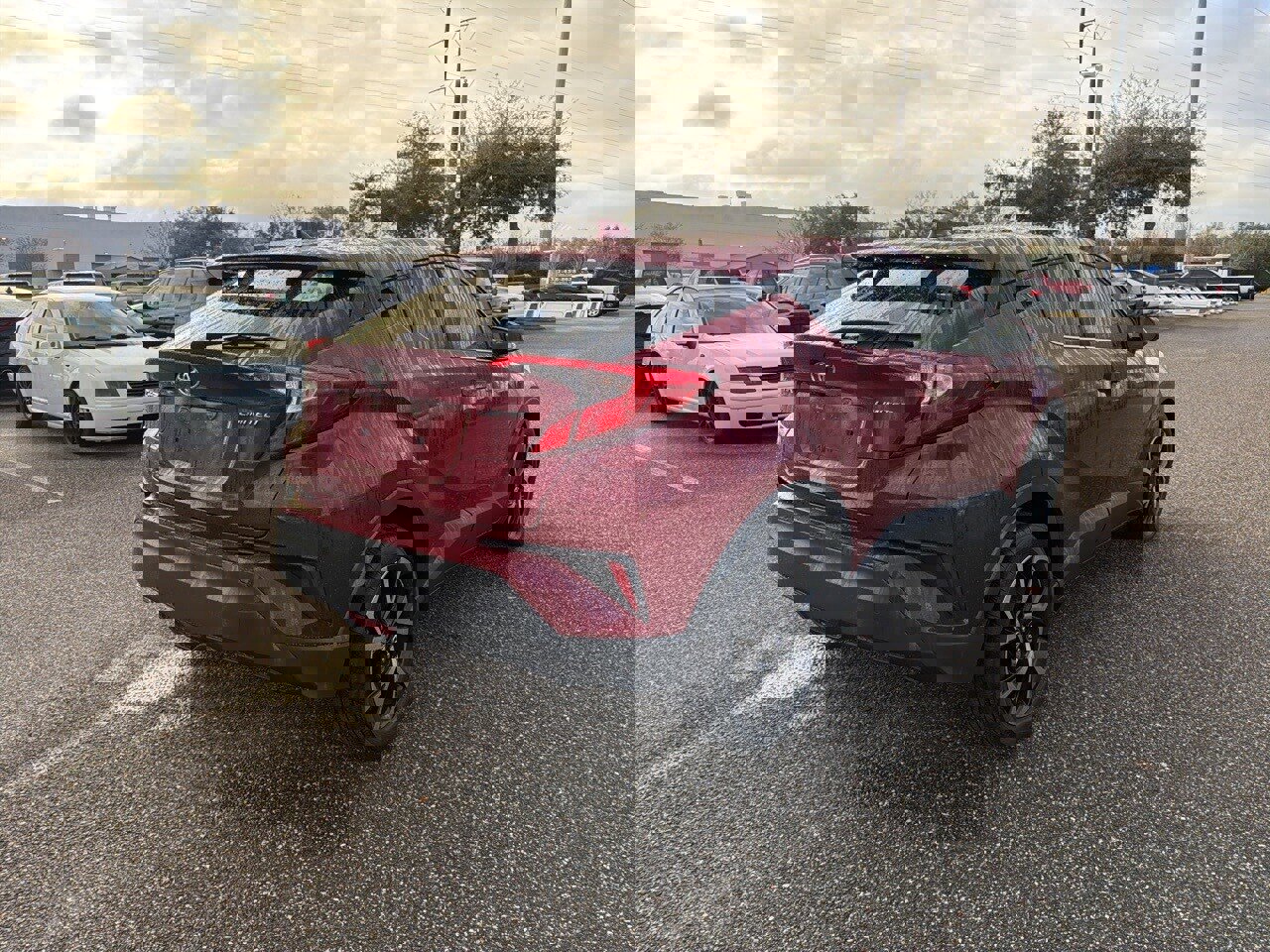 Used 2019 Toyota C-HR Limited image 5