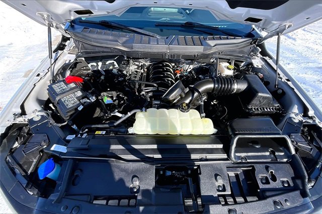 Used 2025 Ford F150 XLT w/ Equipment Group 301A Standard image 9