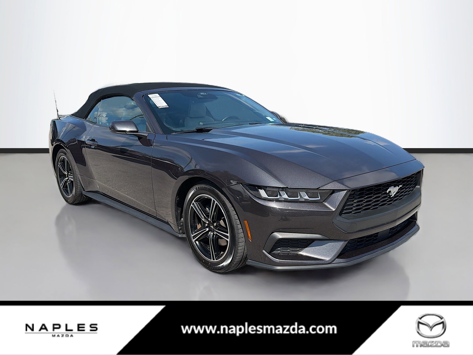 Used 2024 Ford Mustang Premium