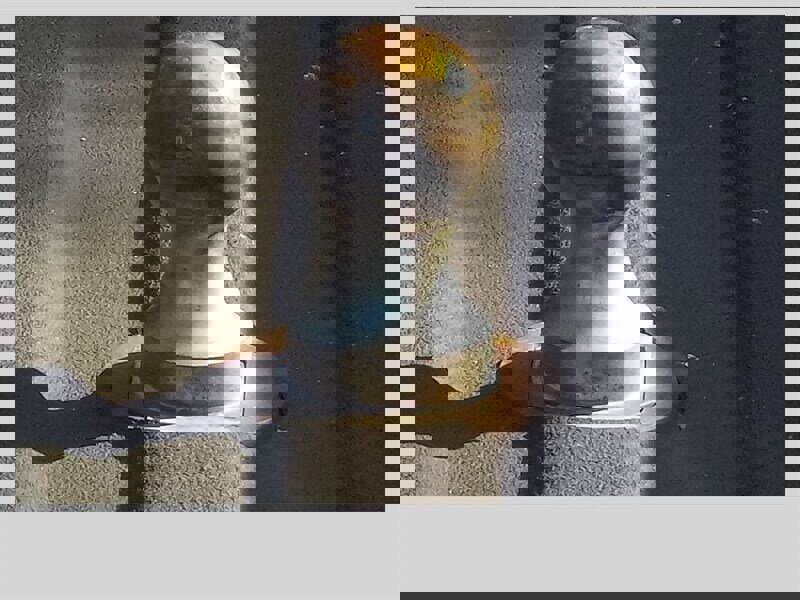 Used 2009 GMC Sierra 3500 SLT w/ SLT Convenience Package image 43