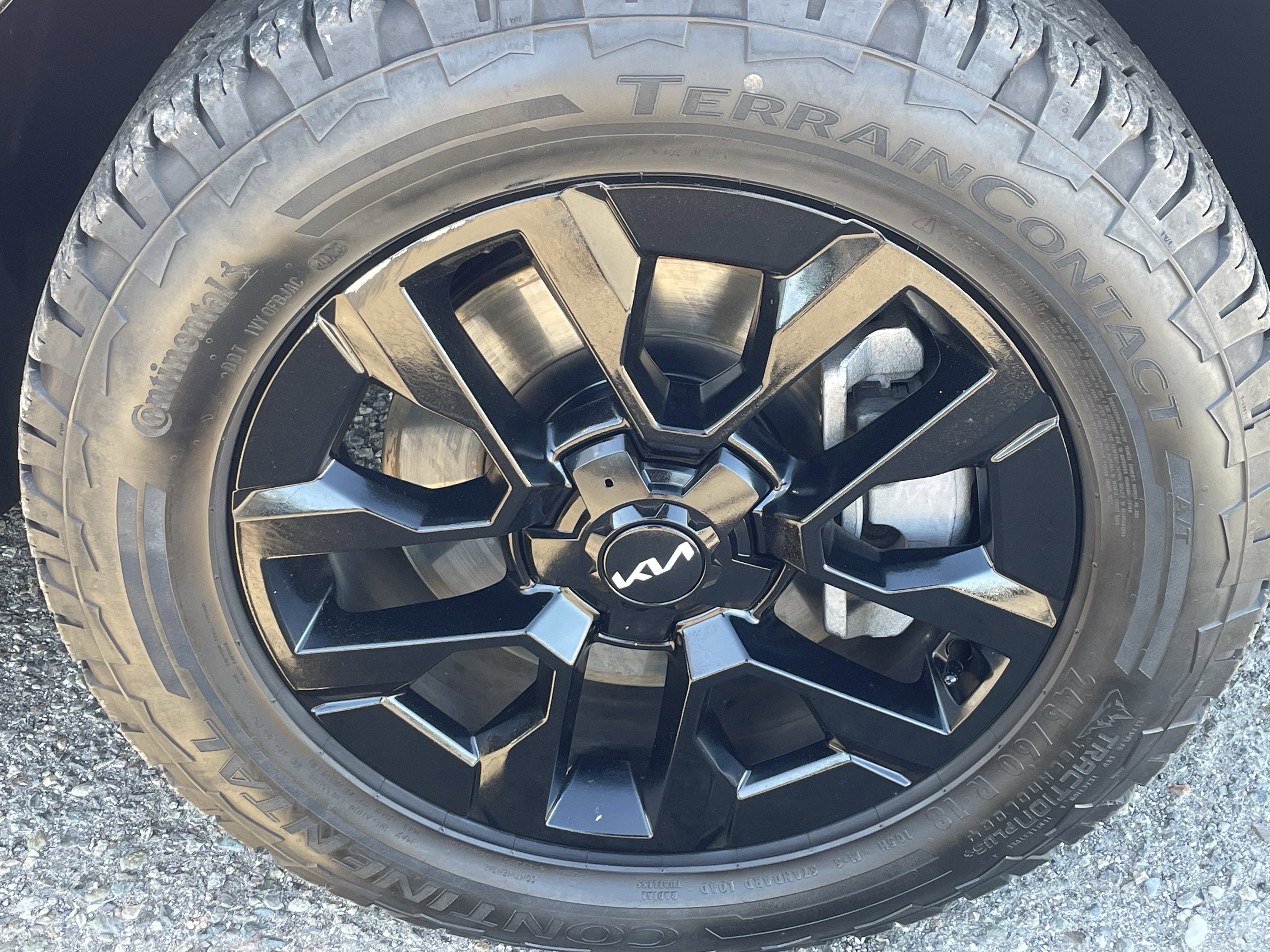 Used 2024 Kia Telluride SX Prestige X-Pro image 8