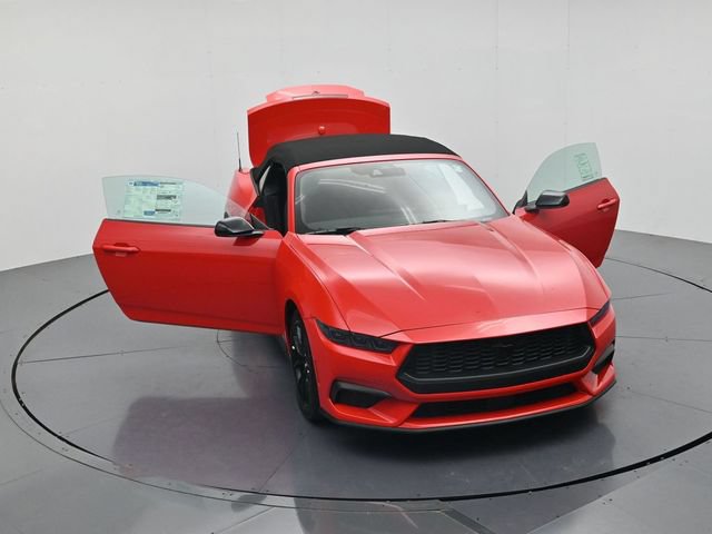 New 2026 Ford Mustang Convertible w/ Mustang Nite Pony Package RWD image 54