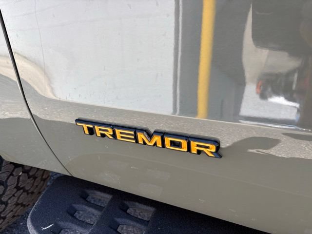 Used 2025 Ford Expedition Tremor AWD/4WD image 14