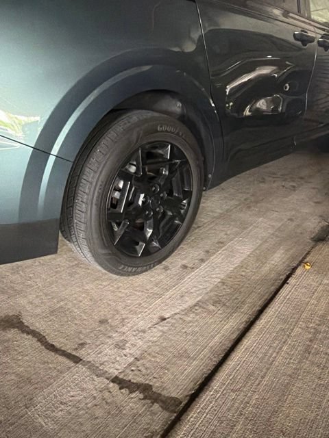 Used 2025 Kia Carnival SX w/ SX Dark Edition Package FWD image 12