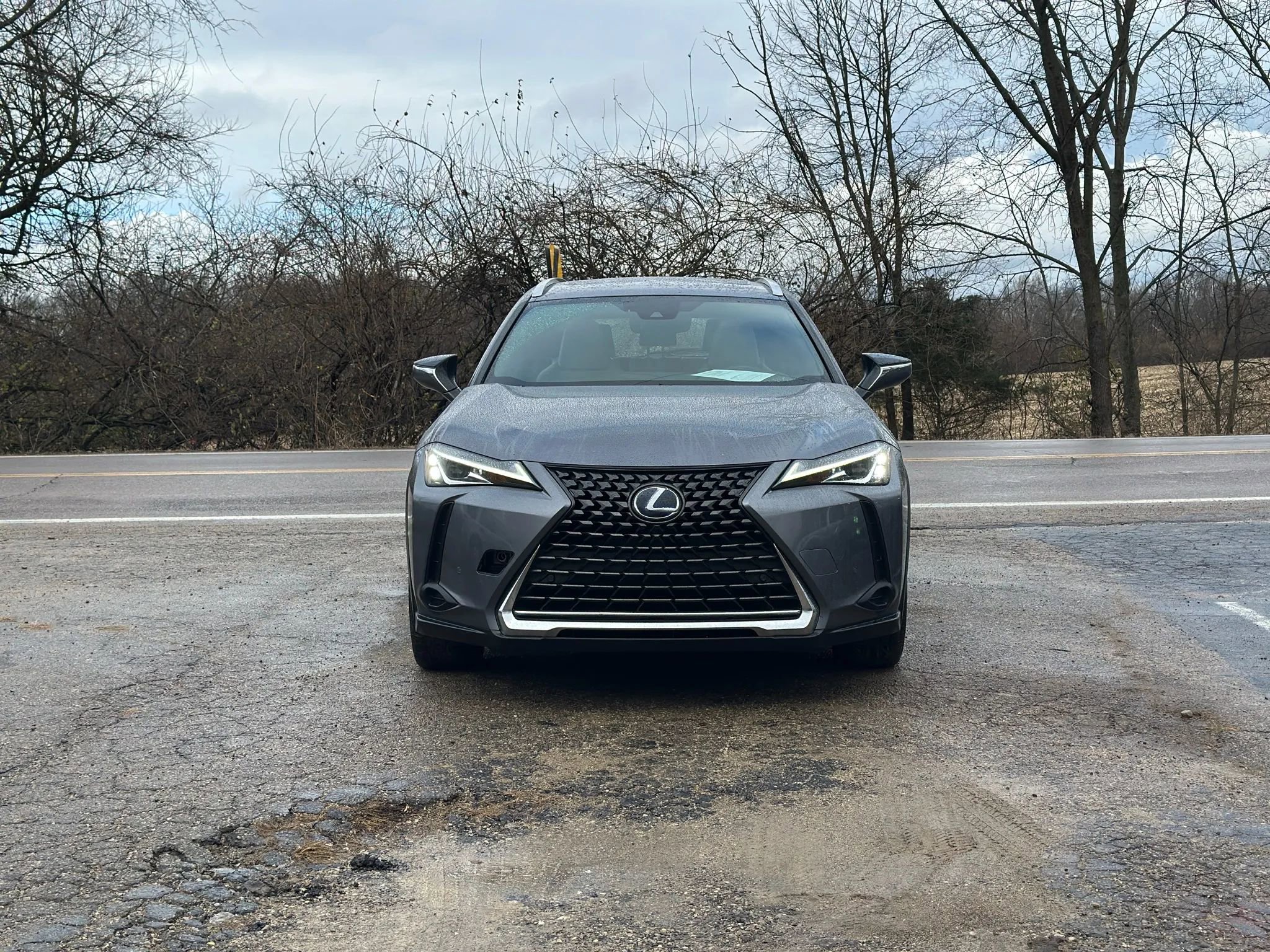 Used 2019 Lexus UX 250h 250h Luxury Sport Utility 4D image 2