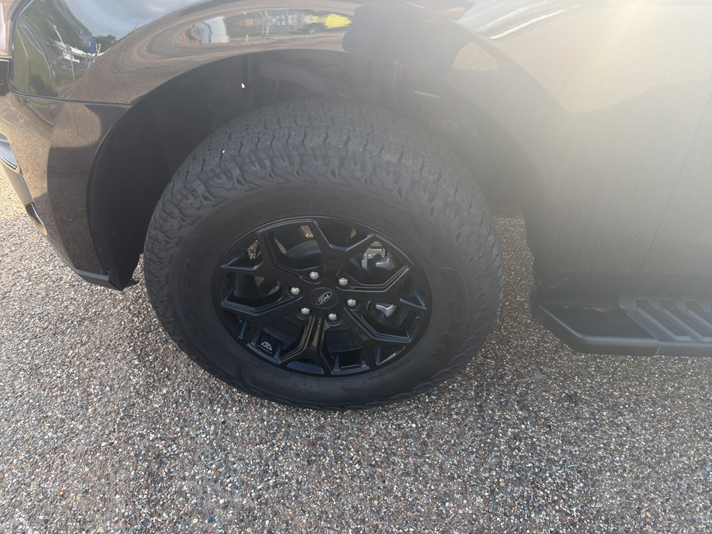 Used 2022 Ford Expedition Timberline AWD/4WD image 9