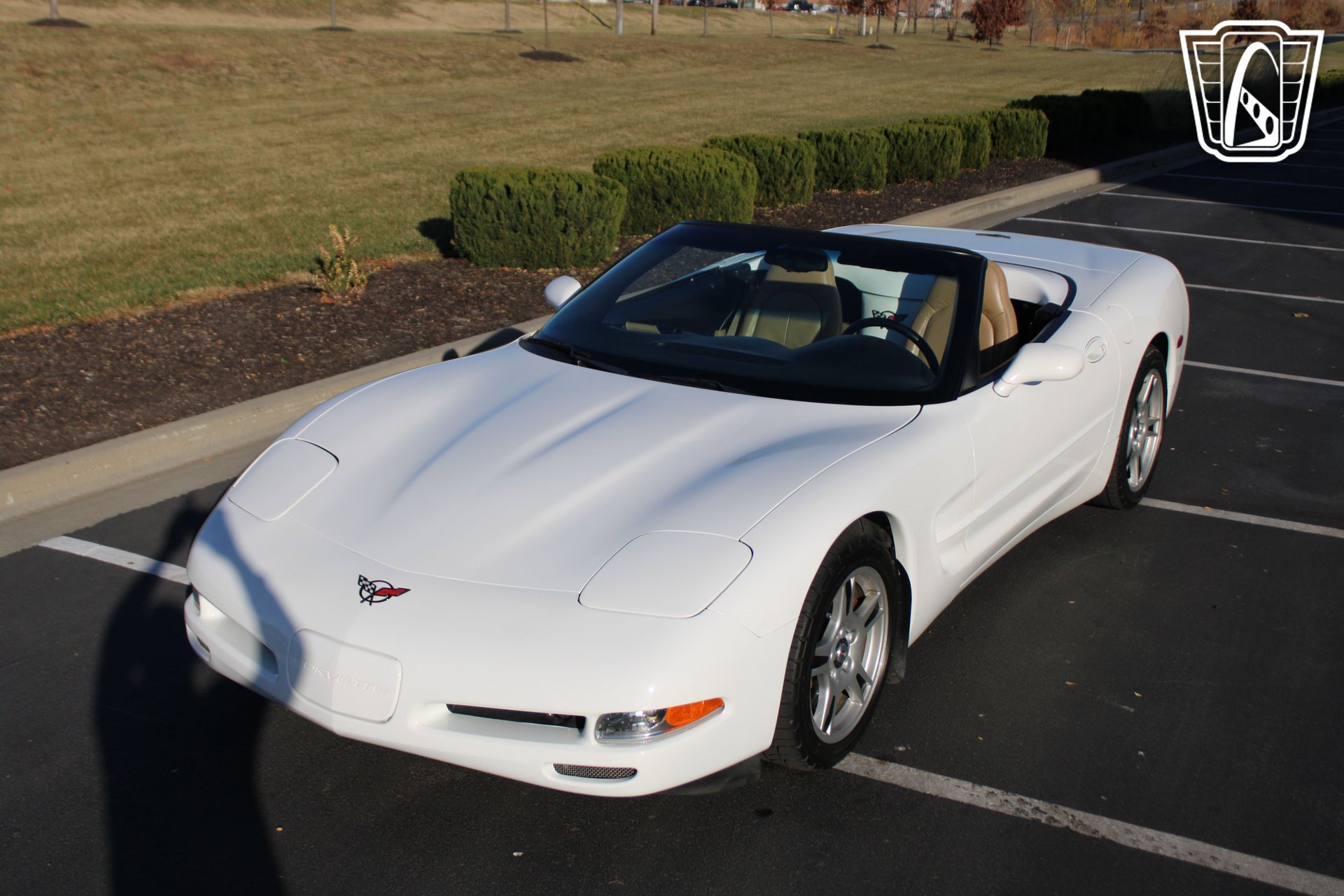 Used 1998 Chevrolet Corvette Convertible image 9
