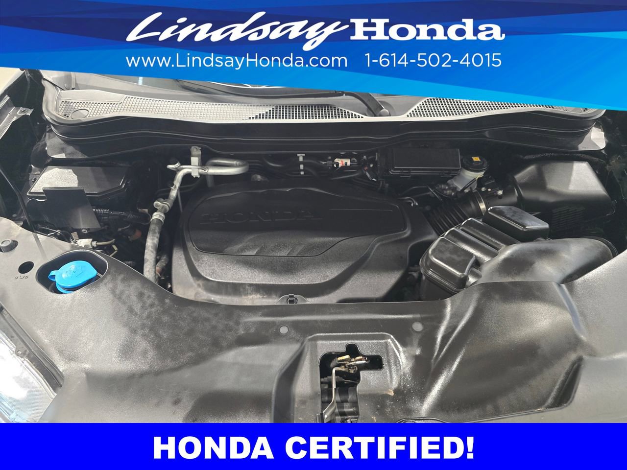 Used 2023 Honda Passport Elite image 23
