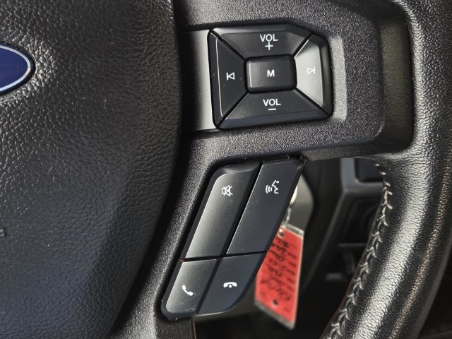 Used 2019 Ford F150 XLT w/ Equipment Group 302A Luxury AWD/4WD image 20
