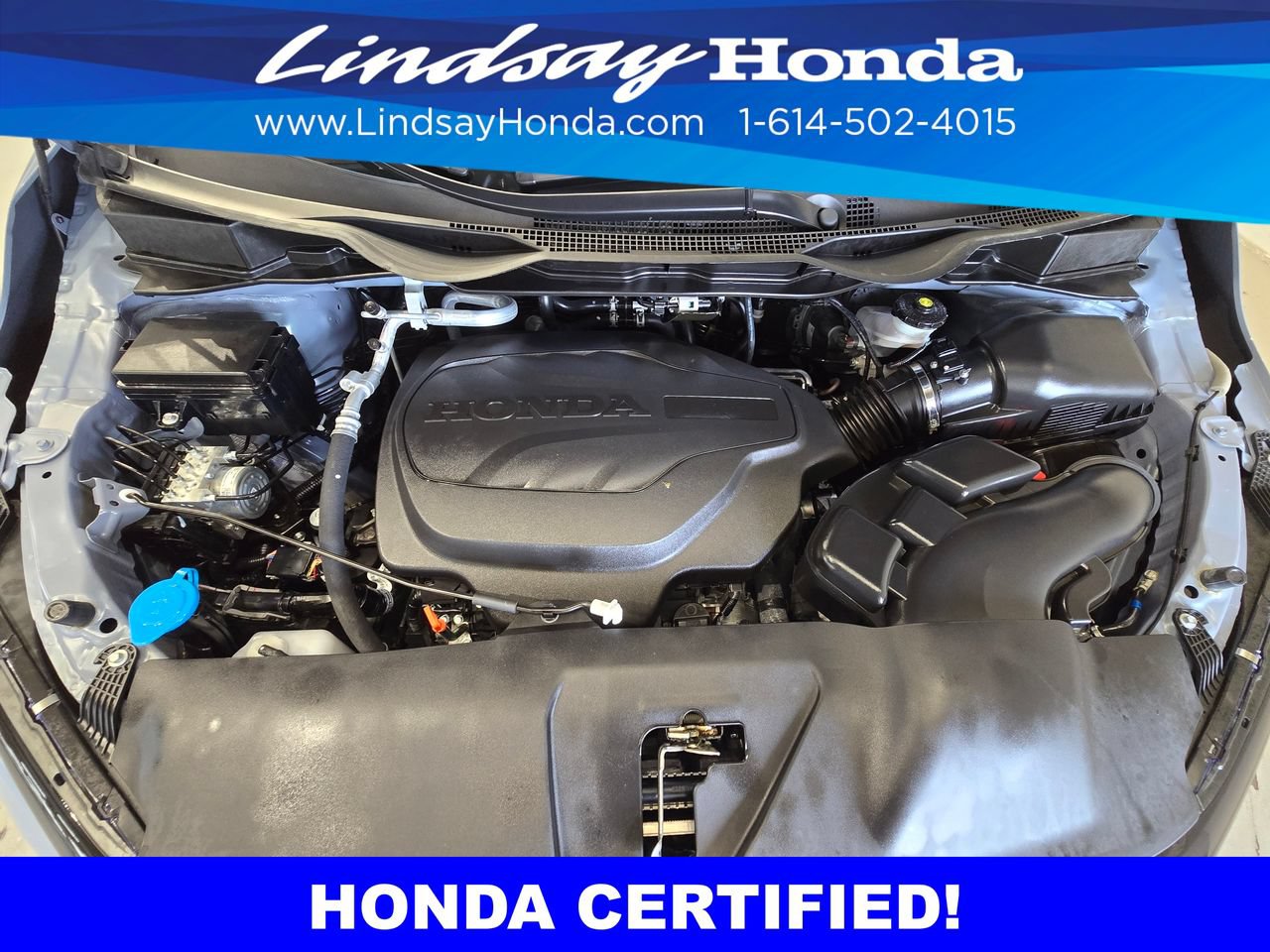 Certified 2026 Honda Odyssey Elite image 25