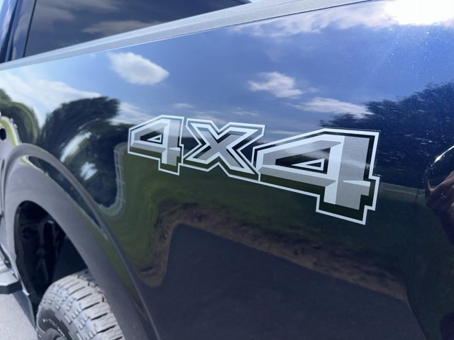 New 2025 Ford F150 XLT w/ Equipment Group 301A Standard image 5