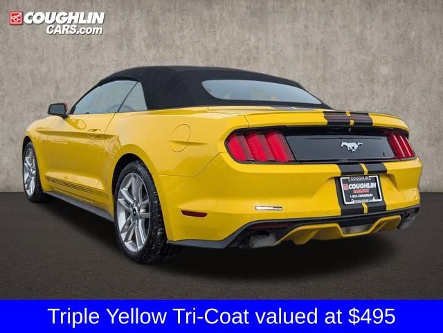 Used 2017 Ford Mustang Premium w/ Equipment Group 201A image 6
