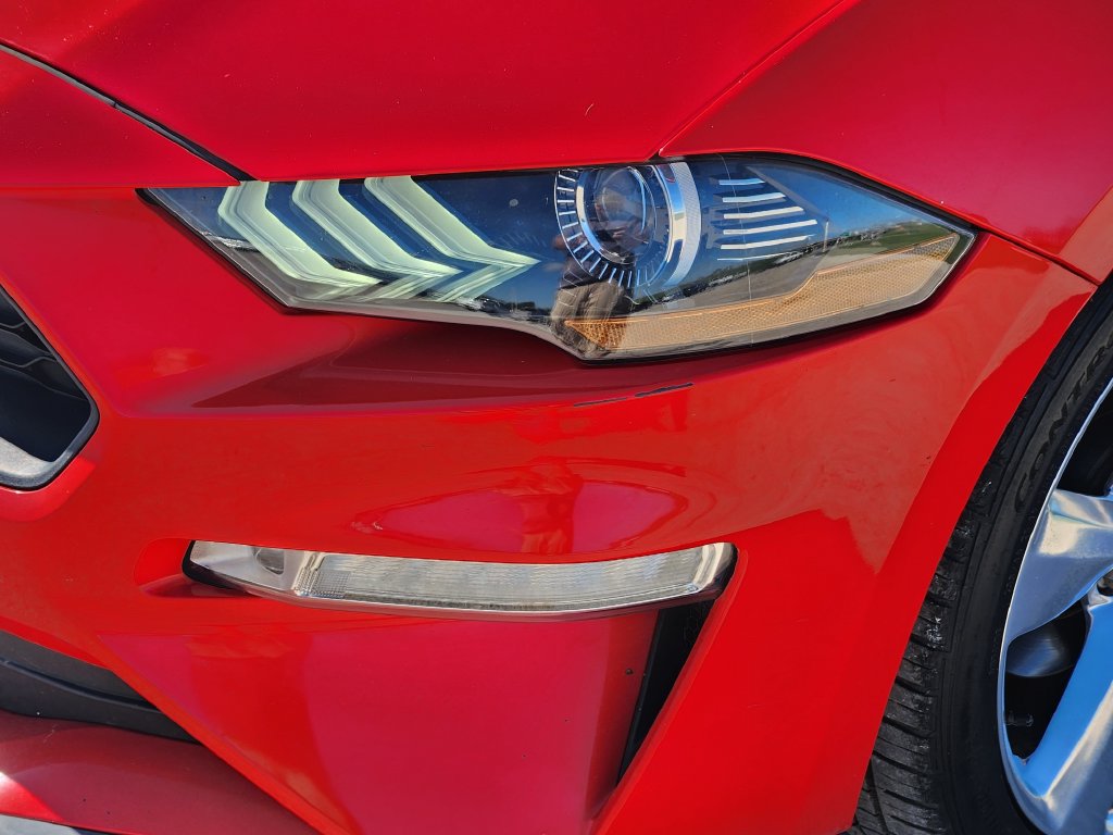 Used 2019 Ford Mustang Premium RWD image 9