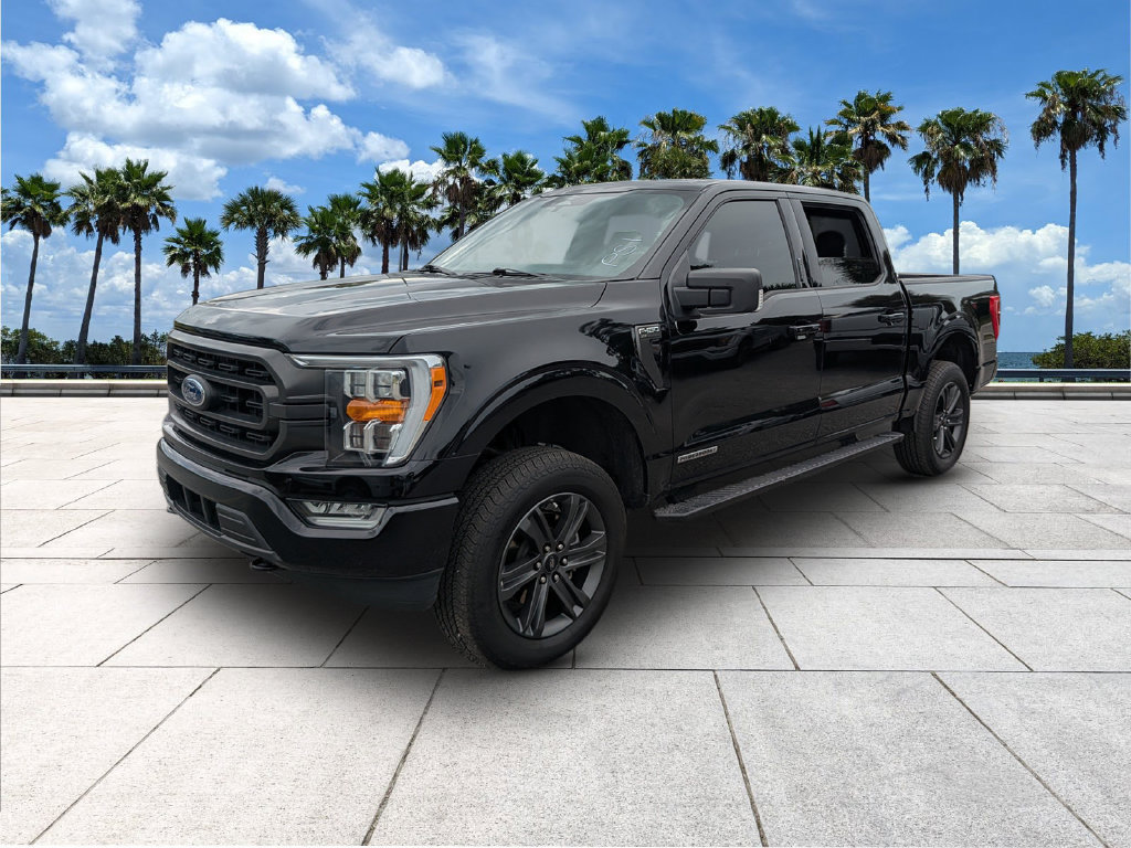 Used 2023 Ford F150 XLT w/ Equipment Group 302A High AWD/4WD image 3