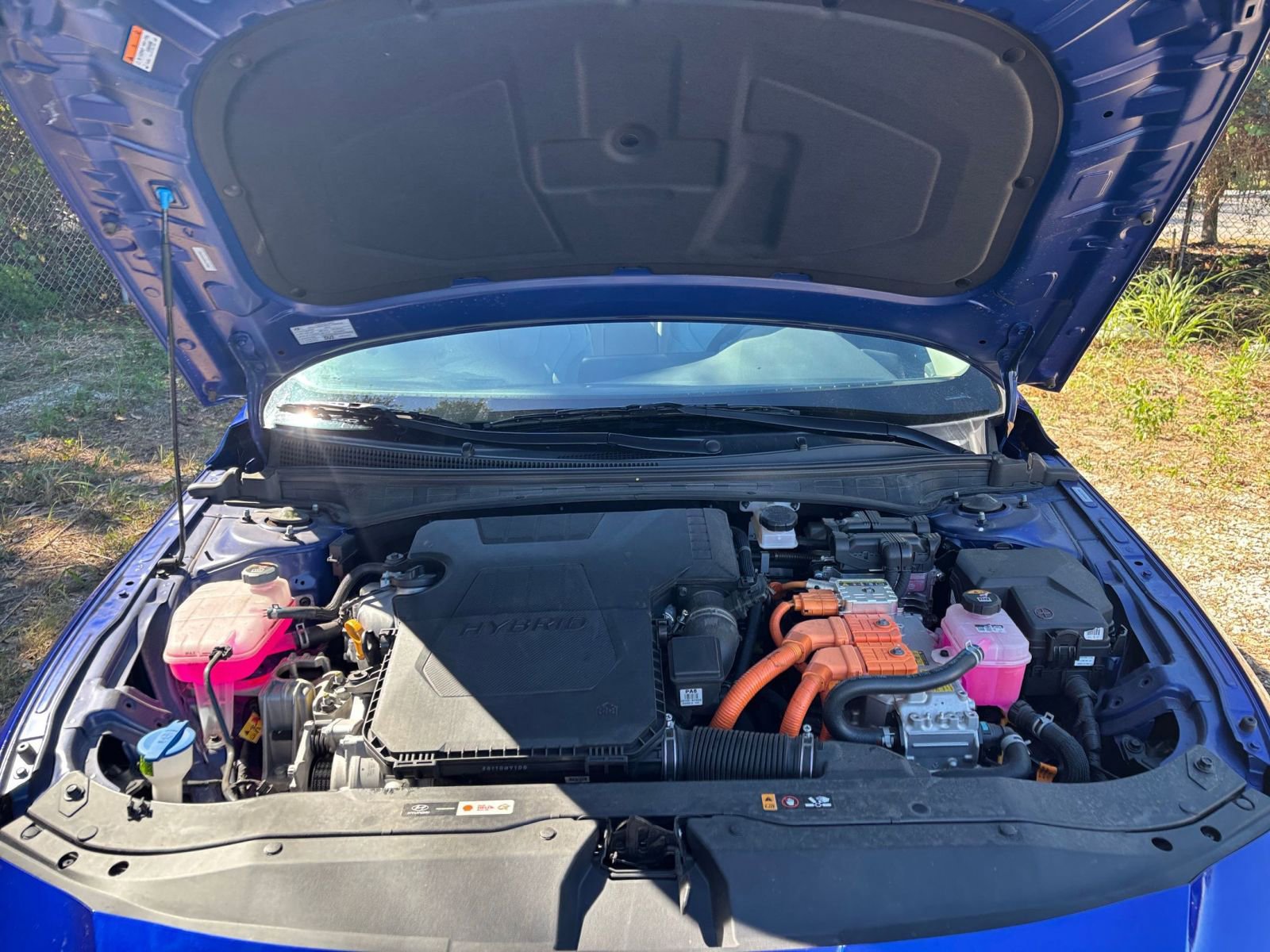 Used 2025 Hyundai Elantra Limited image 32