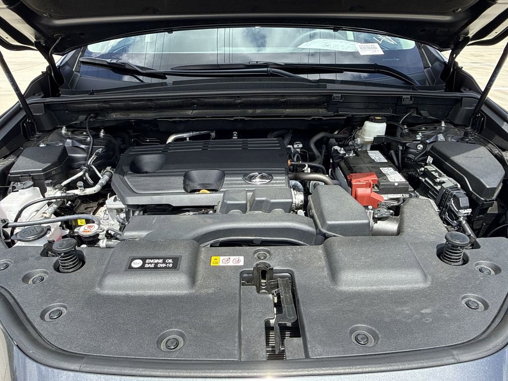 Used 2025 Lexus NX 250 FWD w/ Cold Area Package image 14