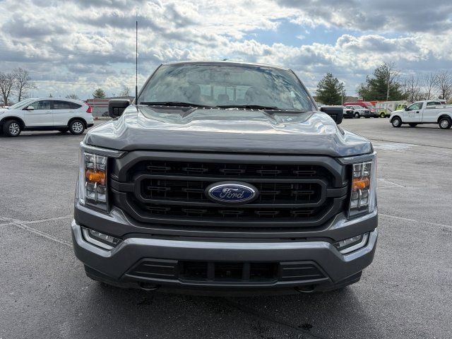 Used 2023 Ford F150 XLT w/ Equipment Group 302A High image 2