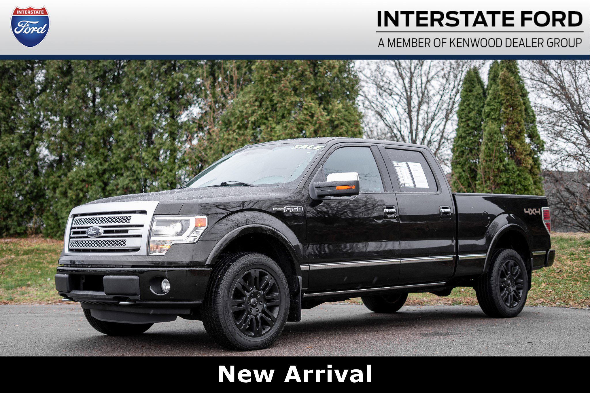 Used 2014 Ford F150 Platinum image 1