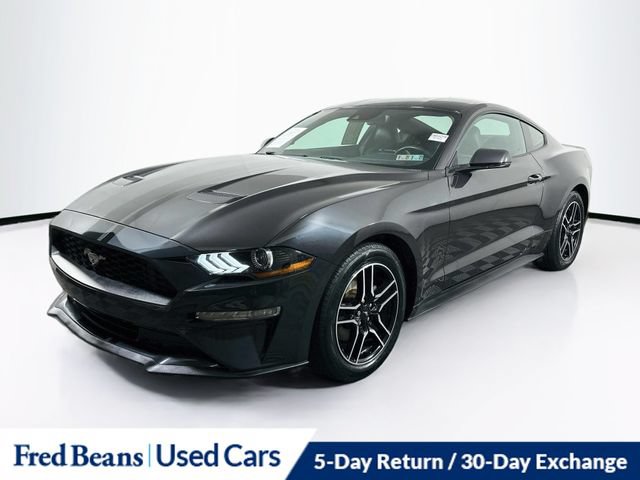 Used 2022 Ford Mustang Premium w/ Equipment Group 201A RWD image 4