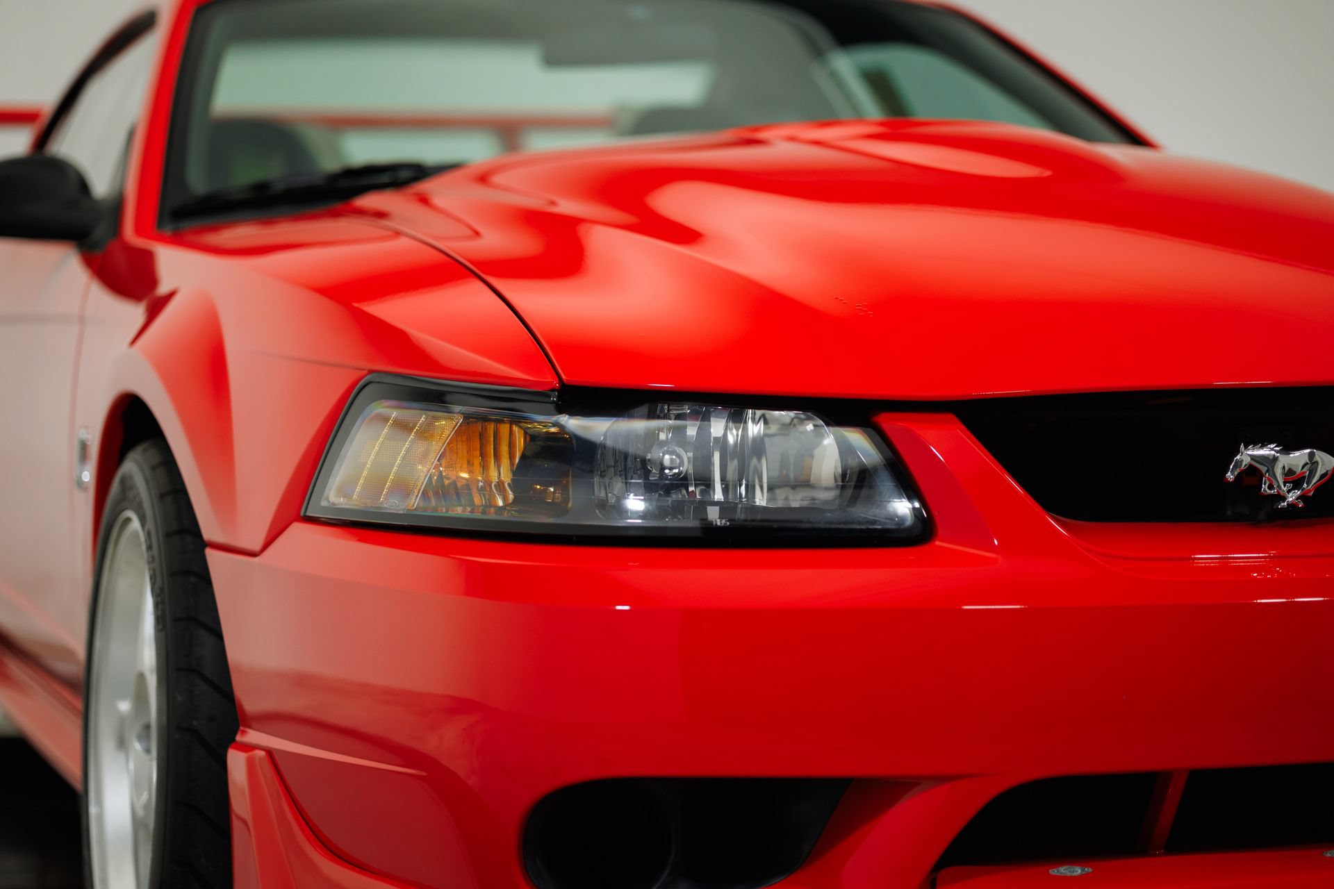 Used 2000 Ford Mustang Cobra RWD image 13