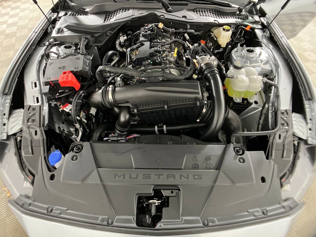 New 2026 Ford Mustang Premium w/ Mustang Nite Pony Package image 31