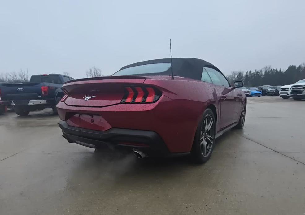 Used 2025 Ford Mustang Premium w/ Wheel & Stripe Package image 7