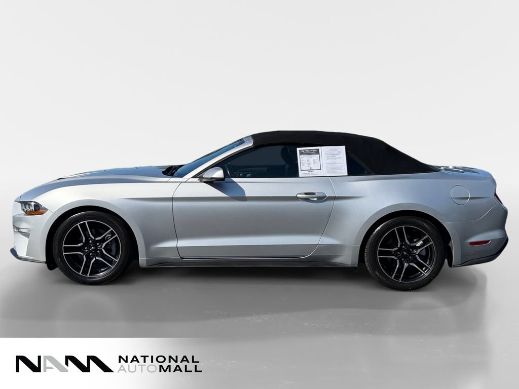 Used 2019 Ford Mustang Premium RWD image 2